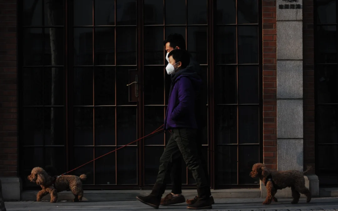 The 17 Items That Defined 2020