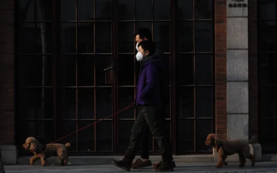 The 17 Items That Defined 2020