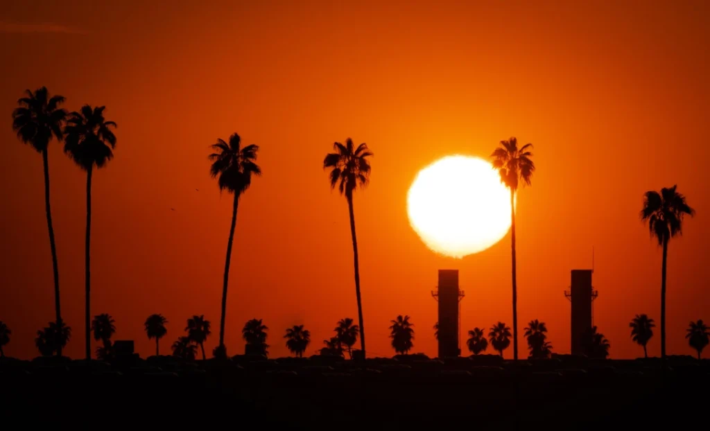 Pexels Solyartphotos 15798342 for America's Growing Heat Crisis: Why Millions Face Greater Risk as Extreme Temperatures...