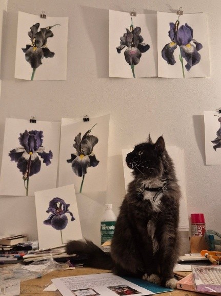 ry
